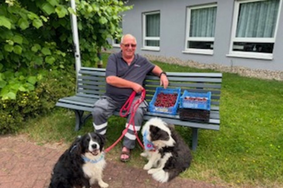 Ein Mann sitzen auf der Bank mit zwei Hunden an der Leine.