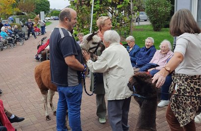 Zwei Alpakas besuchen ein Seniorenzentrum, umgeben von Bewohnerinnen und Bewohner und Angehörigen.